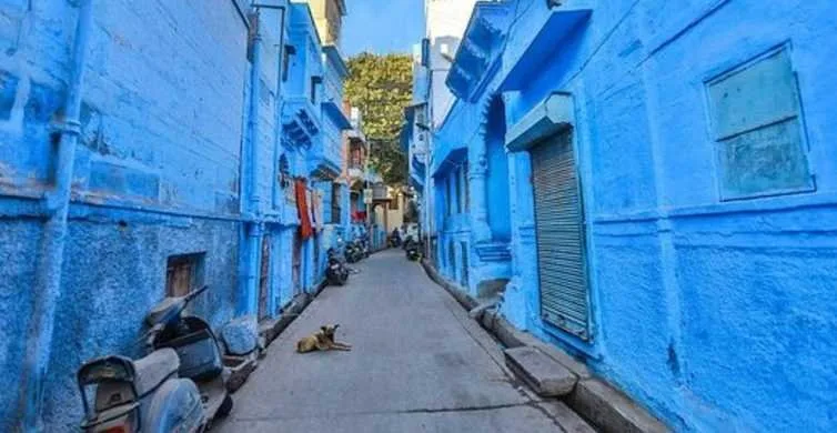 Jodhpur, la ville bleue