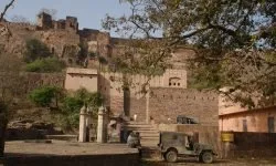 Photographie — Safari Tour au Rajasthan