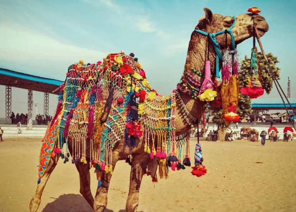 La foire de Nagaur