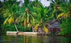 Photographie — Envoûtante du Kerala
