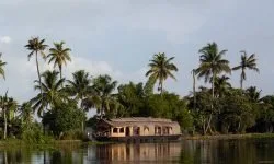 Photographie — Voyage Envoûtant à travers le Kerala