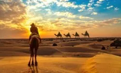 Female tourist on camel safari at the Thar desert Jaisalmer Rajasthan at sunset with view of camel caravan over the horizon.