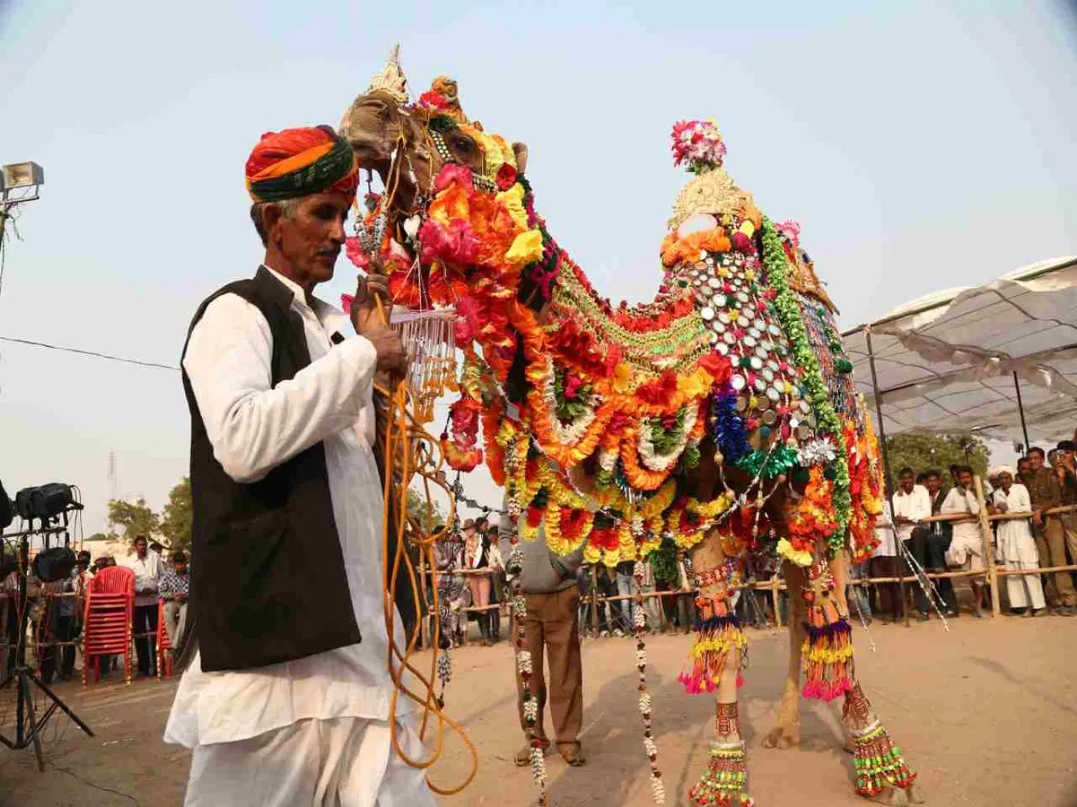 La foire de Nagaur