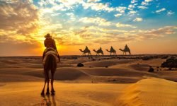 Female tourist on camel safari at the Thar desert Jaisalmer Rajasthan at sunset with view of camel caravan over the horizon.